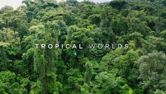 Episode 1 Tropical Worlds