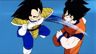Episode 30 Goku vs. Vegeta... a Saiyan Duel!