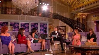 Episode 22 The Real Housewives Tell All: Part 2
