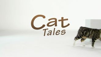 Episode 3 Cat Tales