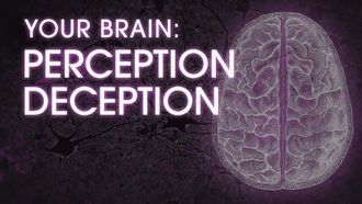 Episode 9 Your Brain: Perception Deception
