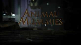 Episode 17 Animal Mummies