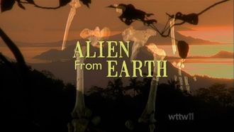 Episode 15 Alien from Earth