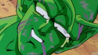 Episode 12 The Tears Piccolo Shed... Son Goku's Furious Counterattack!