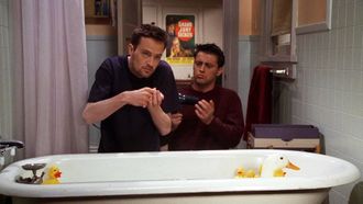 Episode 21 The One with the Chick and the Duck