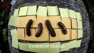 Episode 4 Dynamite Chicks