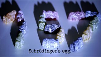Episode 7 Schrödinger's Egg