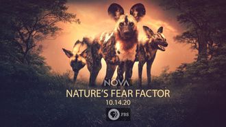Episode 13 Nature's Fear Factor