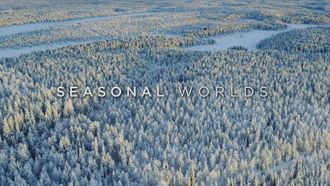 Episode 3 Seasonal Worlds