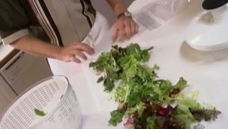 Episode 4 Salad Daze