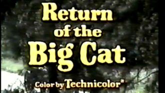 Episode 5 Return of the Big Cat: Part 2