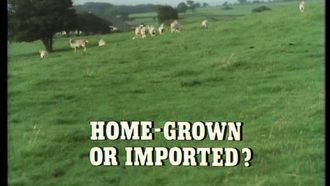 Episode 12 Home-Grown or Imported?