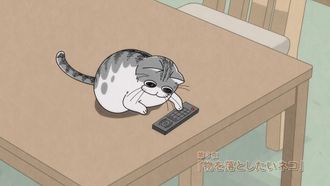 Episode 3 A cat that tends to drop things