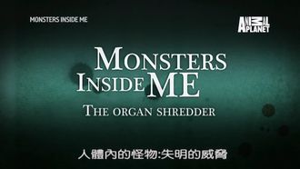 Episode 9 The Organ Shredder
