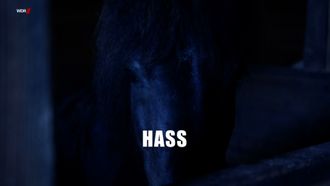 Episode 15 Hass