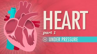 Episode 25 Heart Part 1: Under Pressure