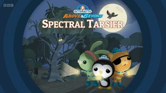 Episode 19 Spectral Tarsier
