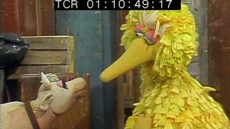 Episode 105 Big Bird doesn't want to be a bird