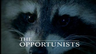Episode 6 The Opportunists