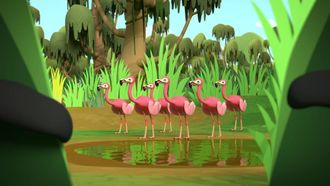 Episode 13 Octonauts and the Flamingos