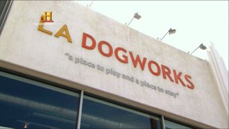 Episode 5 LA Dogworks