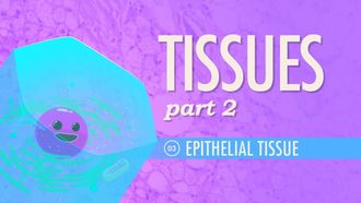 Episode 3 Tissues Part 2: Epithelial Tissue