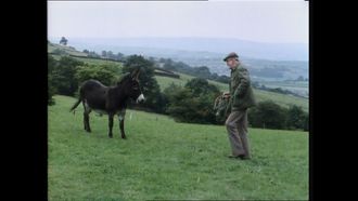 Episode 4 Catching Digby's Donkey