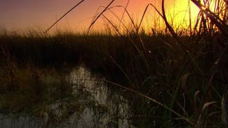 Episode 16 Everglades River of Grass