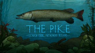Episode 5 The Pike: Lough Erne, Northern Ireland