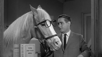 Episode 6 Horse Sense