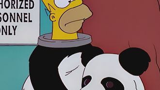 Episode 5 Homer vs. Dignity