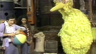 Episode 35 Big Bird and his friends take a trip to Hawaii