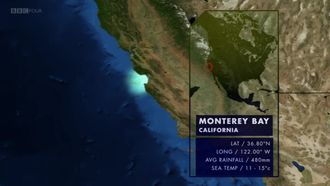 Episode 4 Monterey Bay