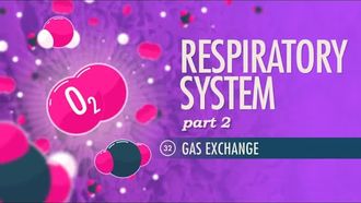 Episode 32 Respiratory System Part 2: Gas Exchange