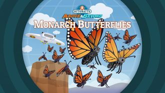Episode 24 Monarch Butterflies