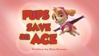 Episode 12 Pups Save the Parrot/Pups Save the Queen Bee