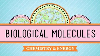 Episode 3 Biological Molecules