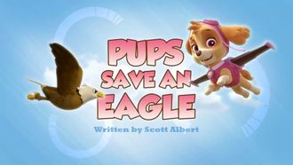 Episode 45 Pups Save an Eagle