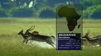 Episode 5 Okavango