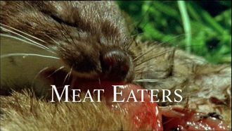 Episode 5 Meat Eaters