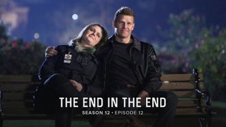 Episode 12 The Final Chapter: The End in the End