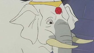 Episode 11 The Disappearing Elephant Mystery
