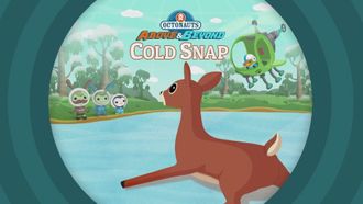 Episode 5 The Octonauts and the Red Fox/The Octonauts and the Pygmy Sloths