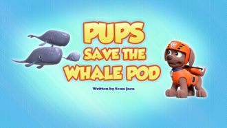 Episode 36 Pups Save the Whale Pod