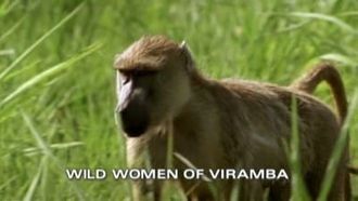 Episode 11 Wild Women of Viramba