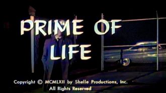 Episode 21 Prime of Life