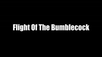 Episode 5 Flight of the Bumblecock