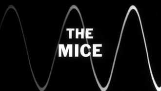 Episode 15 The Mice