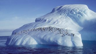 Episode 2 Penguins of the Antarctic