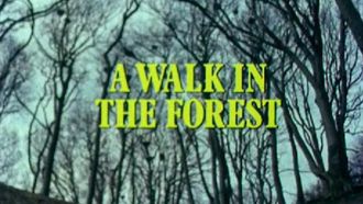 Episode 28 A Walk in the Forest